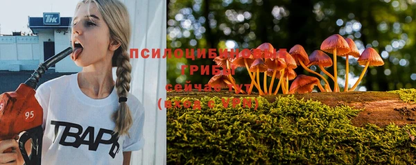 шишки Алексин