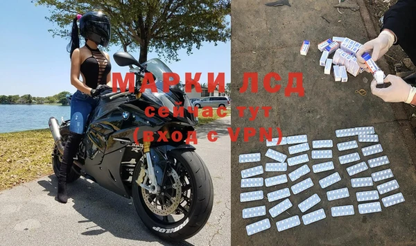 стафф Алзамай