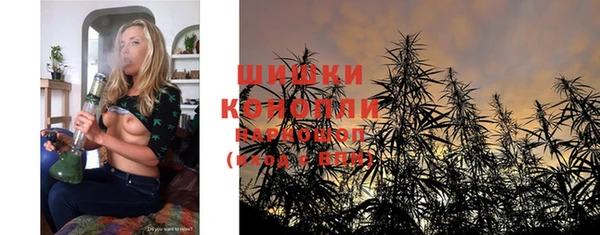 шишки Алексин